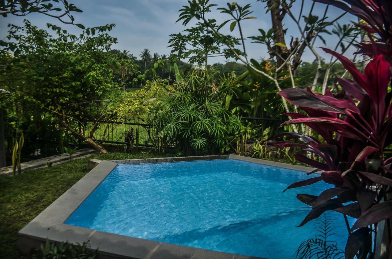 Villa Nextdoor Nature Yogyakarta 班图尔 外观 照片