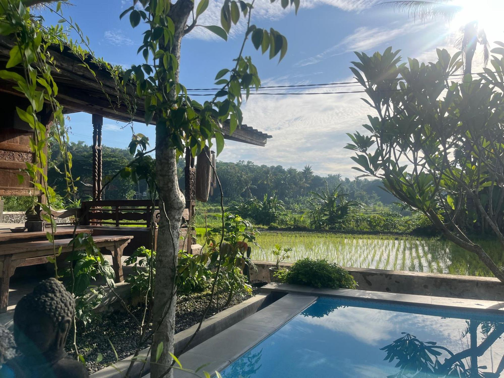Villa Nextdoor Nature Yogyakarta 班图尔 外观 照片