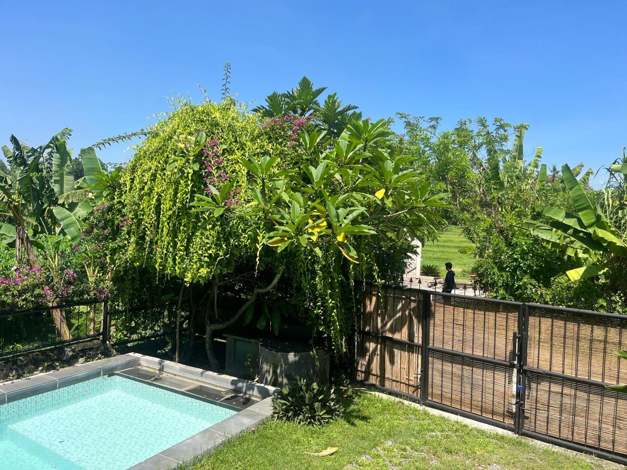 Villa Nextdoor Nature Yogyakarta 班图尔 外观 照片